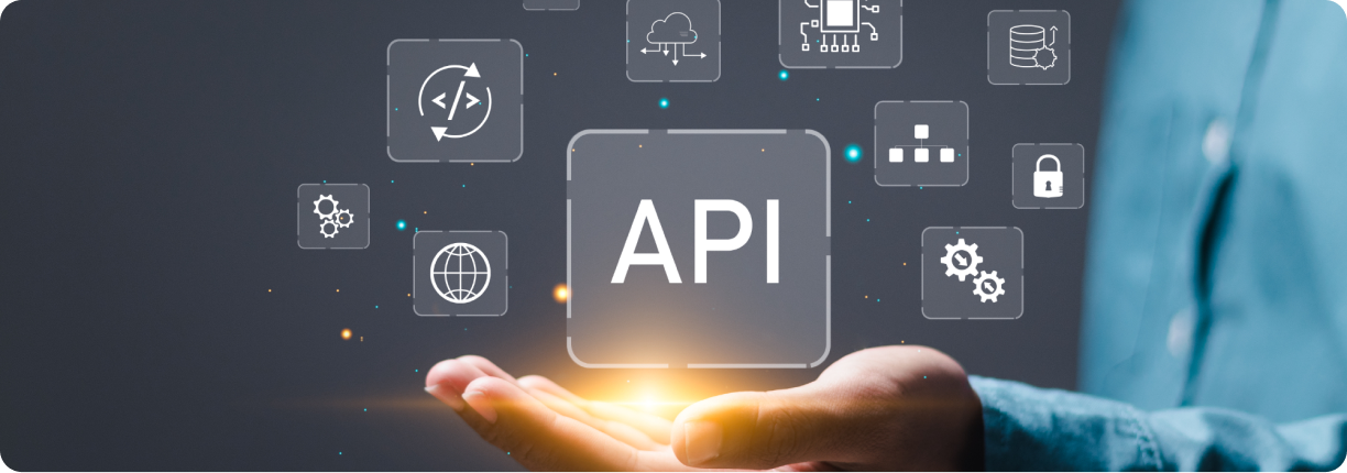 DataEquity API developer portal dashboard interface